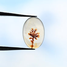 Load image into Gallery viewer, Dendritic Agate No. 35