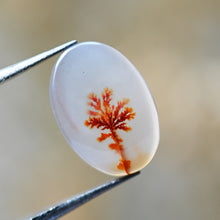 Load image into Gallery viewer, Dendritic Agate No. 35