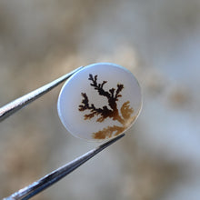 Load image into Gallery viewer, Dendritic Agate No. 20