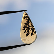 Load image into Gallery viewer, Dendritic Agate V Shank Ring