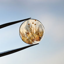 Load image into Gallery viewer, Small Mandala Dendritic Agate Ring
