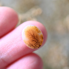 Load image into Gallery viewer, Yellow Dendritic Agate Lace Ring