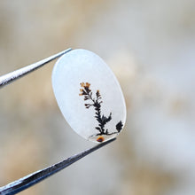 Load image into Gallery viewer, White Single Branch Dendritic Agate Ring