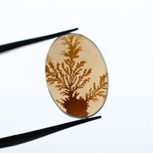 Load image into Gallery viewer, Dendritic Agate Necklace in Yellow Gold
