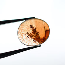 Load image into Gallery viewer, Dendritic Agate Ring