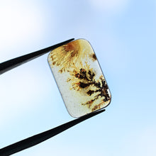 Load image into Gallery viewer, Dendritic Agate No. 04
