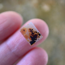 Load image into Gallery viewer, Dendritic Agate No. 03
