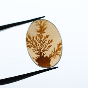 Dendritic Agate Necklace in Yellow Gold